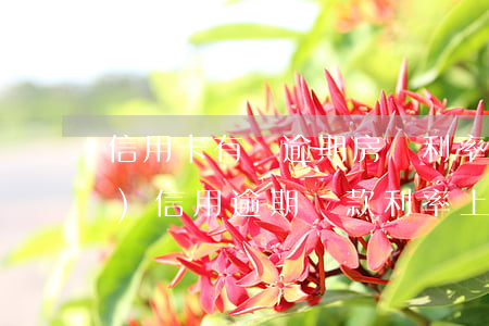 信用卡有過逾期房貸利率要上調(diào)(信用逾期貸款利率上浮)