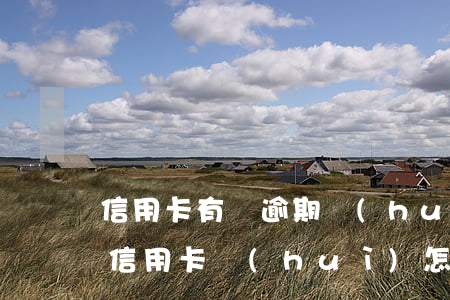 信用卡有過逾期會(huì)怎么樣(逾期還信用卡會(huì)怎樣)