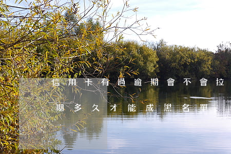 信用卡有過逾期會不會拉黑名單(用信用卡逾期多久才能成黑名單)