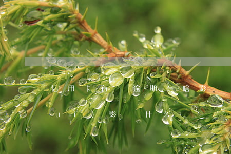 信用卡有過逾期有啥影響(信用卡逾期會(huì)影響什么)