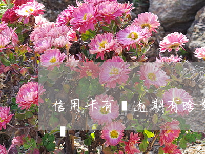 信用卡有過逾期有啥影響(逾期會影響信用卡嗎)