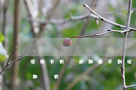 信用卡有過逾期查不到征信(怎么查信用卡逾期沒有)