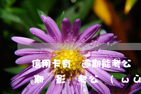 信用卡有過逾期能考公務(wù)員(信用逾期會影響考公務(wù)員嗎)