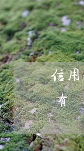 信用卡有過逾期記錄會影響征信嗎-信用卡有過逾期記錄會影響征信嗎知乎