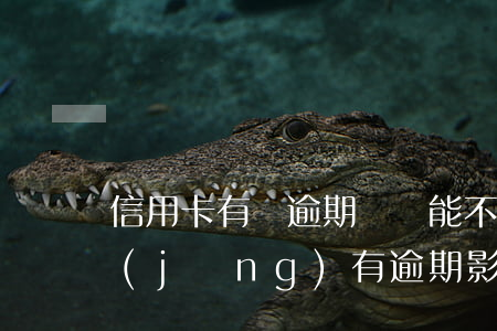 信用卡有過逾期記錄能不能刪除(信用卡 曾經(jīng)有逾期 影響)
