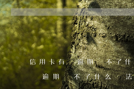 信用卡有過逾期辦不了什么辦法-信用卡有過逾期辦不了什么辦法解決