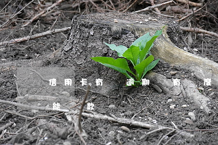 信用卡有過逾期還有額度嗎(有信用卡逾期還能貸款嗎)