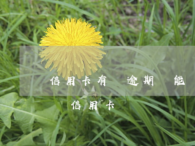 信用卡有過逾期還能辦嗎(信用卡逾期了還能辦信用卡嗎)