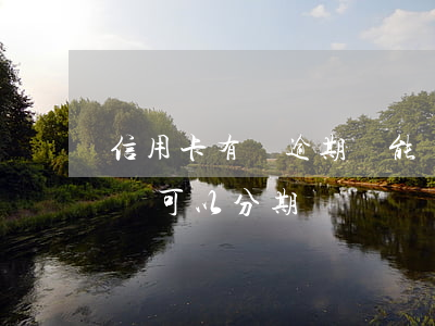 信用卡有過逾期還能辦理分期嗎(分期逾過期還可以分期嗎)