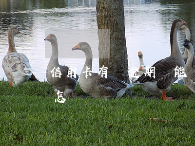 信用卡有過逾期還能過初審(逾期還信用卡會怎樣)