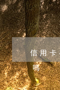信用卡有違約金了算逾期嗎 逾期會有違約金嗎
