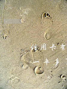信用卡有還幾百逾期幾個月(信用卡2萬逾期一年多了)