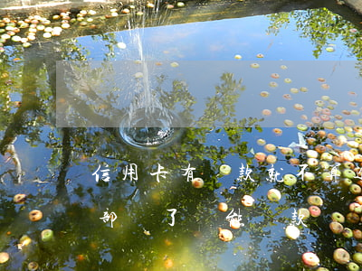 信用卡有還款就不算逾期(信用卡逾期但是全部還了還能貸款嗎)