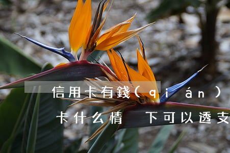 信用卡有錢(qián)為啥顯示透支(信用卡什么情況下可以透支)