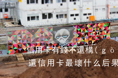 信用卡有錢不還構(gòu)成什么罪(沒錢還信用卡最壞什么后果)