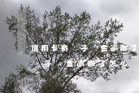 信用卡有電子現金逾期了怎么辦-信用卡有電子現金逾期了怎么辦理