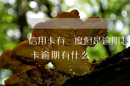 信用卡有額度但是逾期怎么處理(銀行卡信用卡逾期有什么辦)