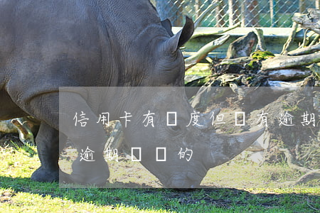 信用卡有額度但還有逾期沒還(有沒有信用卡逾期沒還的)