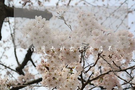 信用卡朋友刷卡后不還錢(信用卡的錢不還)