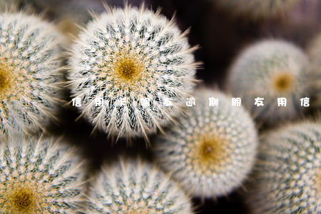 信用卡朋友逾期(朋友用信用卡逾期,我可以起訴嗎)