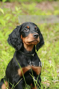 信用卡未使用去產(chǎn)生逾期(信用卡不知情情況下逾期)
