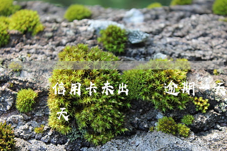 信用卡未出賬單逾期一天(信用卡賬單超期一天)