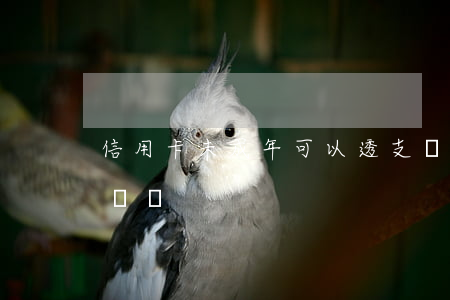 信用卡未成年可以透支嗎(未成年信用卡可以辦嗎)