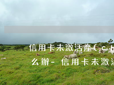 信用卡未激活產(chǎn)生年費逾期怎么辦-信用卡未激活產(chǎn)生年費逾期怎么辦理