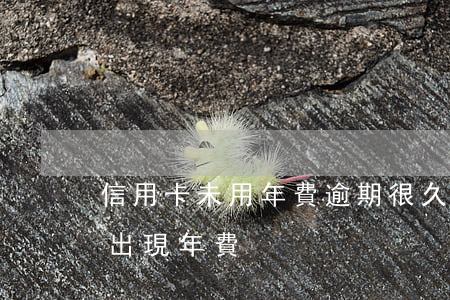 信用卡未用年費逾期(很久沒用的信用卡突然出現年費)