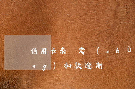 信用卡未綁定儲(chǔ)蓄卡自動(dòng)扣款逾期