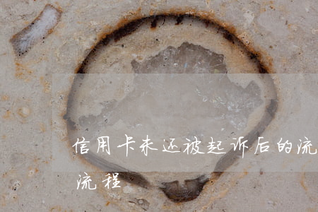 信用卡未还被起诉后的流程(信用卡不还起诉流程)