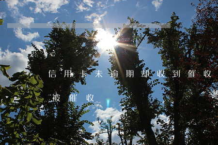 信用卡未逾期却收到催收(没办过信用卡突然被催收)