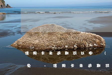 信用卡未逾期可以申請(qǐng)利息減免嗎-信用卡未逾期可以申請(qǐng)利息減免嗎