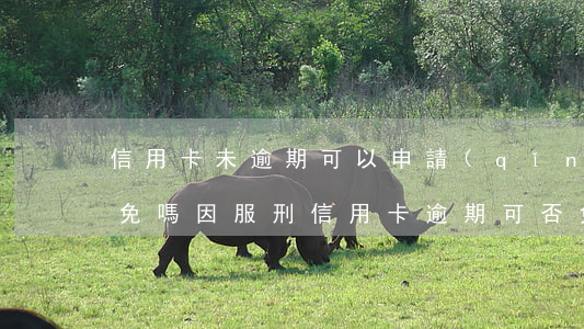 信用卡未逾期可以申請(qǐng)利息減免嗎(因服刑信用卡逾期可否免息)