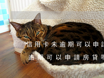 信用卡未逾期可以申請房貸嗎貼吧（信用卡未逾期可以申請房貸嗎）