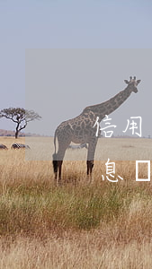 信用卡未逾期如何掛賬停息(欠信用卡可以停息掛賬嗎)