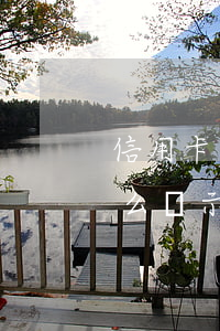 信用卡未逾期征信顯示嗎(征信報告逾期會怎么顯示)