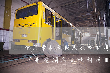 信用卡未逾期怎么限制消費(fèi) 信用卡未逾期怎么限制消費(fèi)金額