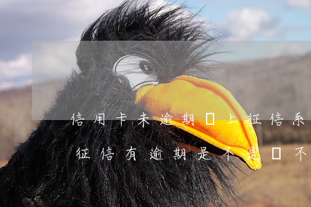 信用卡未逾期會上征信系統(tǒng)嗎(征信有逾期是不是辦不了信用卡)