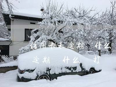 信用卡未逾期為什么還打電話來-信用卡未逾期為什么還打電話來催收