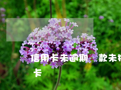 信用卡未逾期還款(未按時(shí)還信用卡)