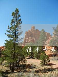 信用卡未逾期降低額度 沒逾期信用卡降額