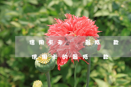 信用卡未還夠最低還款額算逾期嗎-不夠還信用卡的最低還款