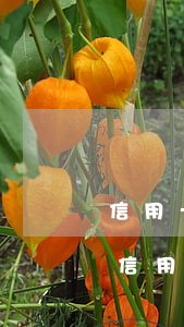 信用卡未還完逾期利息 現(xiàn)在我信用卡逾期未還