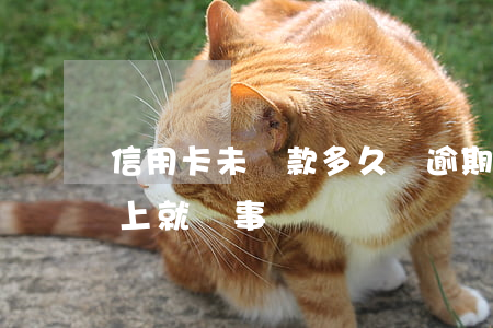 信用卡未還款多久為逾期(信用卡逾期多久還上就沒事)