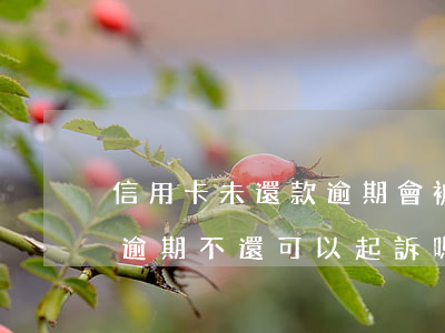 信用卡未還款逾期會被起訴嗎(朋友借信用卡逾期不還可以起訴嗎)