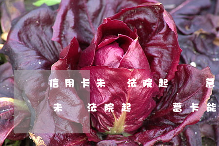信用卡未還法院起訴儲蓄卡能用嗎-信用卡未還法院起訴儲蓄卡能用嗎安全嗎
