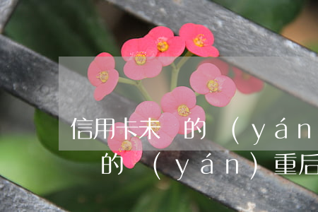 信用卡未還的嚴(yán)重后果(信用卡未還的嚴(yán)重后果)