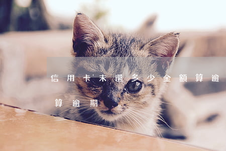 信用卡末還多少金額算逾期(還最低金額算不算逾期)