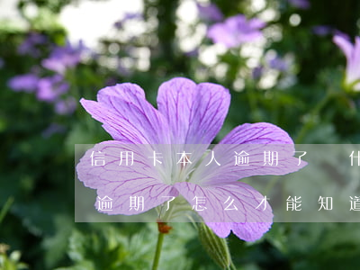 信用卡本人逾期了為什么起訴家人(欠信用卡逾期了,怎么才能知道被起訴了)